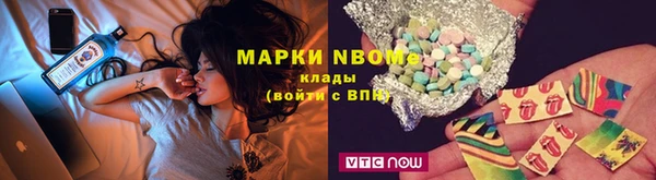 хмурый Абаза