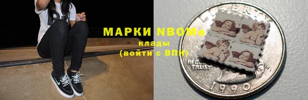 хмурый Абаза