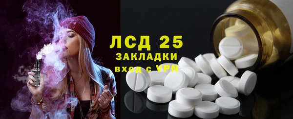 хмурый Абаза