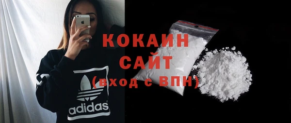 хмурый Абаза