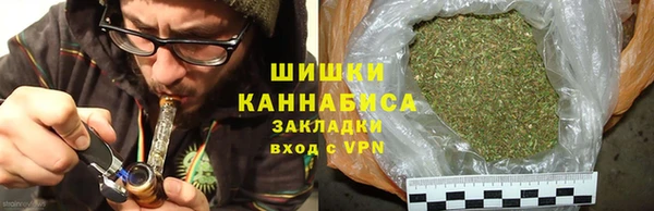 хмурый Абаза