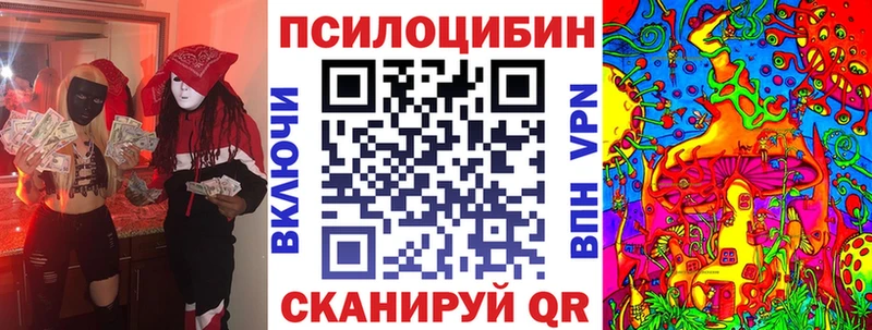 дарк нет наркотические препараты  Почеп  Галлюциногенные грибы Psilocybine cubensis  купить наркотик 